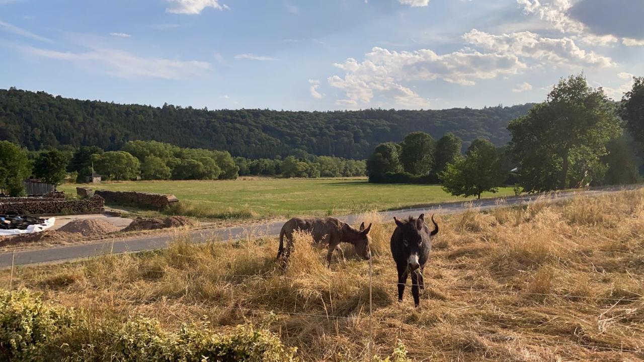 Apartmán Flussnest Fulda Exteriér fotografie